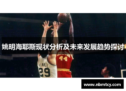 姚明海耶斯现状分析及未来发展趋势探讨