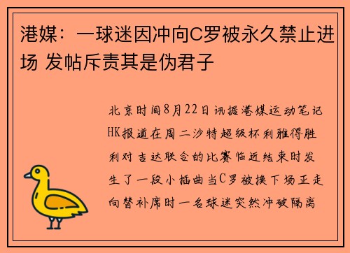 港媒：一球迷因冲向C罗被永久禁止进场 发帖斥责其是伪君子